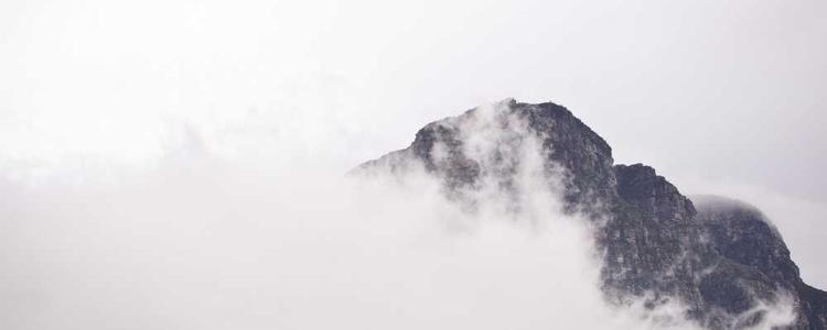 蘑菇视频 - 海量高清短视频